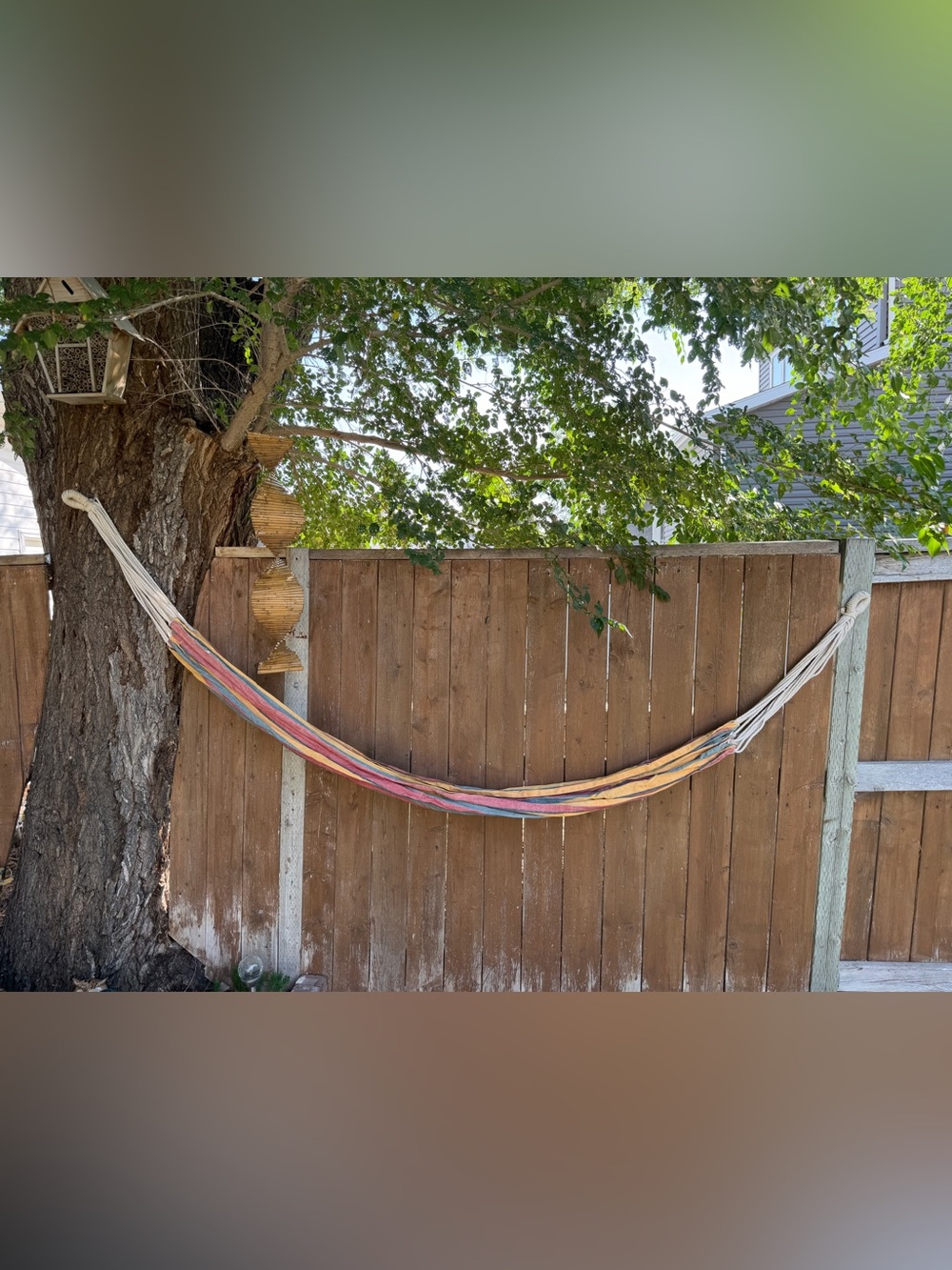 Fabric Hammock
